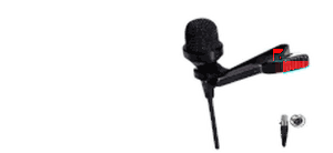 Lapel capsule